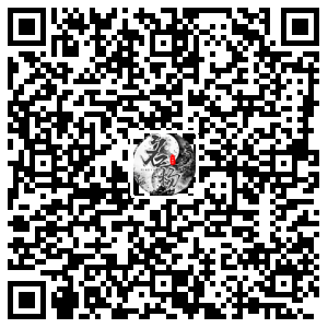 安卓下载二维码