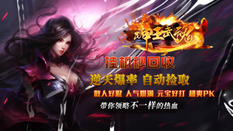神王武魂单职业 